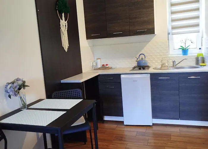 بيت ضيافة Piaskowa Przystan ميكوشيفو